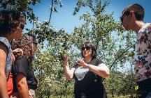 "Basque Cider House" guided tour + meal from San Sebastian