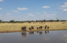 03 Days, 02 Nights Safari To Lake Manyara, Ngorongoro And Tarangire