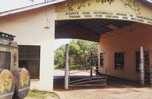 03 Days, 02 Nights Safari To Lake Manyara, Ngorongoro And Tarangire