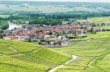 Champagne Day Trip with 6 Tastings, Reims and Winery from Paris
