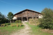 " Basque Farm House & Cider house" tour + meal from San Sebastian