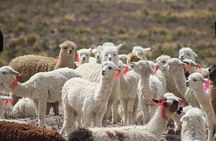 Colca Canyon – 2 Days / 1 Night