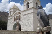 Colca Canyon – 2 Days / 1 Night