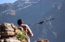 Colca Canyon – 2 Days / 1 Night