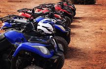Half Day Quad Biking Tour In Palmeraie
