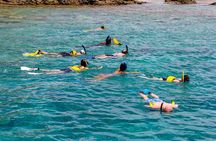 Sand Dollar Half Day Snorkel Trip