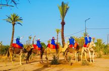 Pack Camel ride 1 Hour and Quad biking 2 Hours in Marrakech 