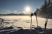 Guided Winter Wonderland Snowshoeing Adventure From Prague