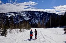 Guided Winter Wonderland Snowshoeing Adventure From Prague