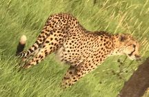 3 days Murchison Falls safari