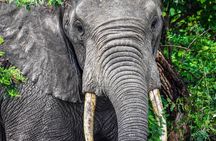 3 days Murchison Falls safari