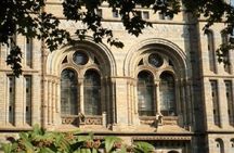 London Natural History Museum Private Tour for Kids & Families