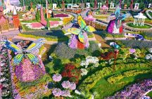 Global Village & Dubai Miracle Garden with Transfers