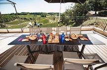 Saint-Emilion Electric Bike Day Tour with Wine Tastings & Lunch