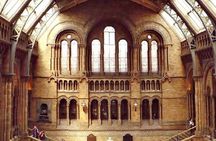 London Natural History Museum Private Tour for Kids & Families