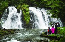 Mendenhall Lake Kayak and Salmon Bake Adventure
