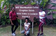 Craighton Blue Mountain Coffee Tasting & Farm Tour from Port Royal Cruise Port