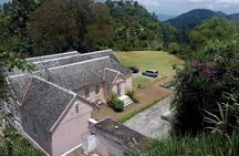 Craighton Blue Mountain Coffee Tasting & Farm Tour from Port Royal Cruise Port