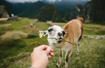 2-Day Short Inca Trail to Machu Picchu 