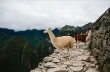  2 day hike to Machu Picchu