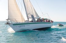 Prima - Overnight Sailing Experience of the Whitsundays