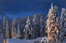 Vancouver Mountain to Mountain (Grouse,Cypress,Mount Seymour) Private