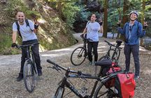 Nara - Heart of Nature Bike Tour