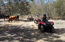 ATV Half day adventure from Riu and papagayo