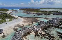 Reef island private tour