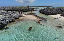 Reef island private tour