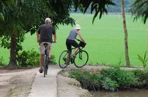 Private Tour Mekong Delta Day Trip from Ho Chi Minh City