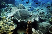 1-Day Discover Scuba Diving (no pool session / 2 dives) in Koh Chang