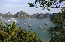 Halong Bay One Day Tour Included Bus