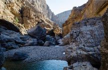 Wadi Bani Khalid Tour ( per vehicle) 