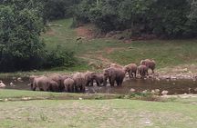 1 Day Activity Adventure Trekking Kerala