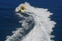High Speed Harbor Tour from Charlotte Amalie Cruise Port