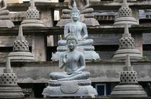 Colombo Shore Excursion from Cruise Port – Private Small Group 