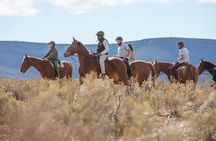 Cape Town Safari Big 5 experience all inclusive