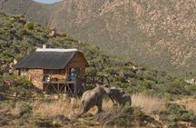 Cape Town Safari Big 5 experience all inclusive