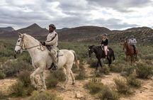 Cape Town Safari Big 5 experience all inclusive