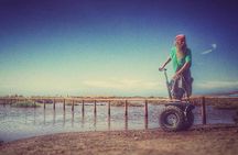 2,5-hour Segway Tour around Caleta de Fuste in Fuerteventura
