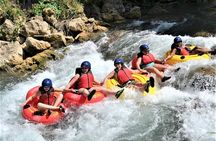 Private Rio Bueno River Adventure from Montego Bay