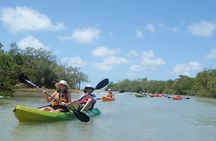 Guided Kayak Eco Tour - Bunche Beach