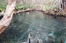 kayak through mangroves to secret beach