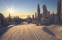 Cross-Country Skiing Guided Tour From Prague