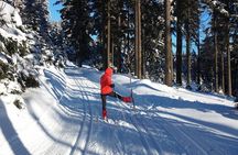 Cross-Country Skiing Guided Tour From Prague