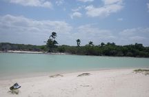 kayak through mangroves to secret beach