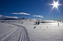 Cross-Country Skiing Guided Tour From Prague