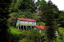 San Juancito Minero