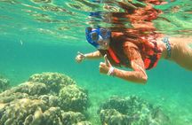 Basic Snorkel Experience In Cancun